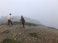 雷鳥見っけ