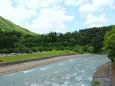 新緑の白川郷庄川