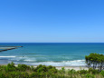 初夏の海岸 4