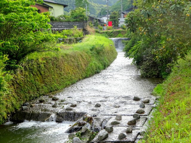 山里を流れる小川