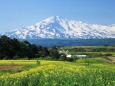 月山高原