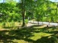 新緑の京都