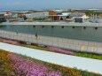 花壇から万博会場