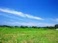 きさかたの風景
