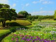 新緑の岡山後楽園