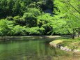 春の水辺