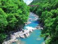 初夏の磐井川