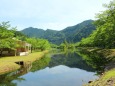新緑の公園
