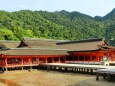 新緑の厳島神社