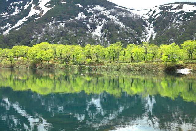 新緑の湖畔