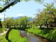 5月の忍野八海