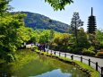 新緑の京都