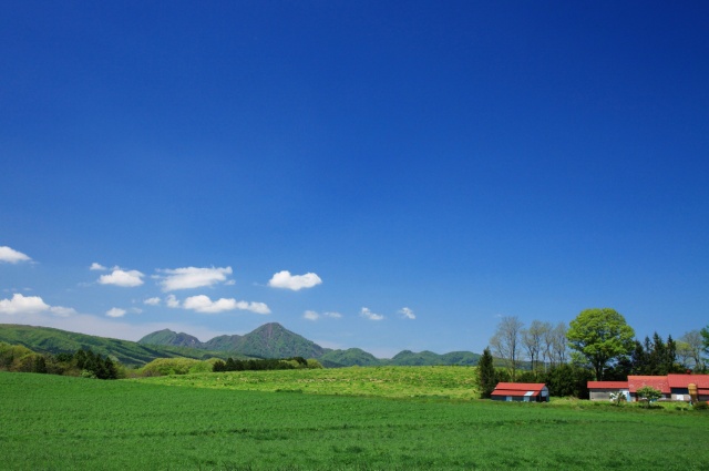 夏の農場