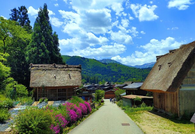 6月の白川郷