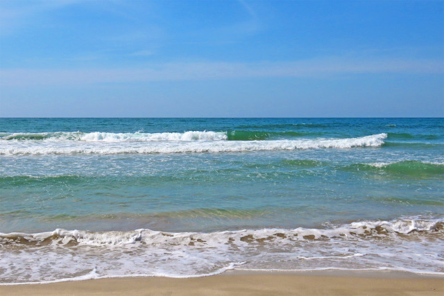初夏の海岸 7