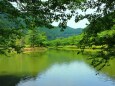 初夏の水辺