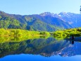 初夏の大正池