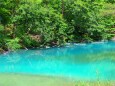 初夏の福島五色沼