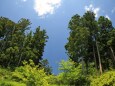 裏山