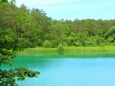 初夏の五色沼