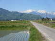絶景:田植えの季節 2025年