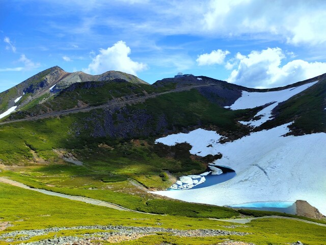 6月の乗鞍岳
