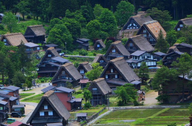 6月の白川郷