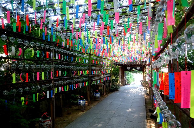 お寺に訪れた七夕の季節