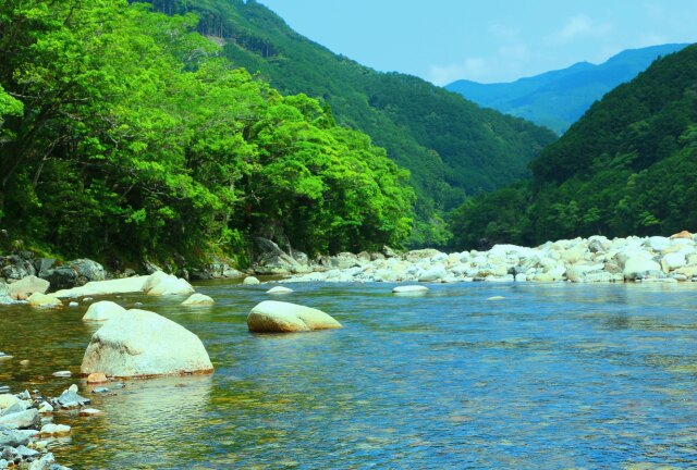 夏の清流銚子川