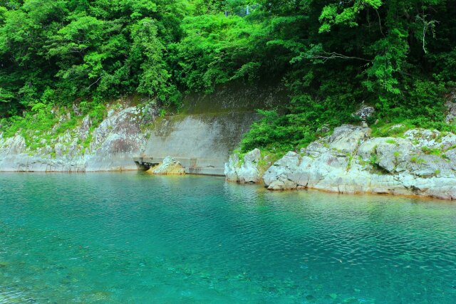 夏の清流銚子川