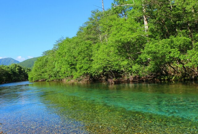 夏の清流梓川