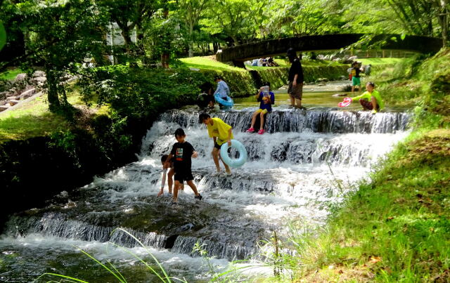 涼しい山の公園