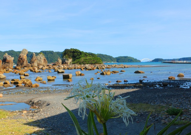 ハマユウと夏の海
