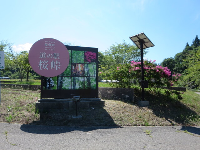夏の日の桜峠 2025年