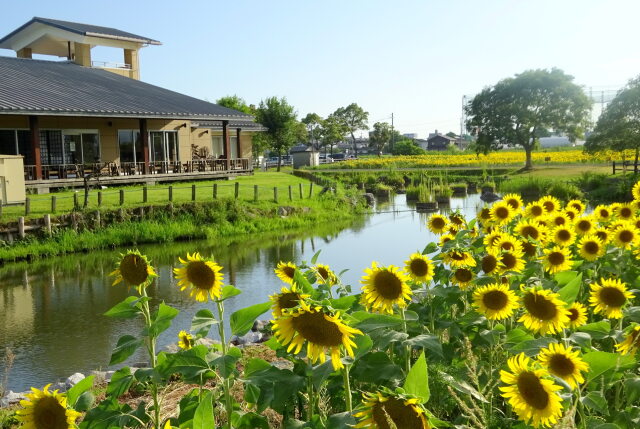 向日葵のひょうたん島公園
