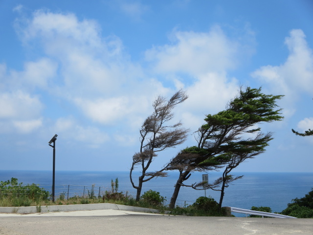 風速50M？ 2025年