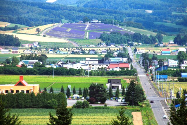 富良野の丘から