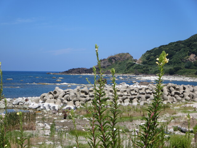 さいはてに花が 2025年