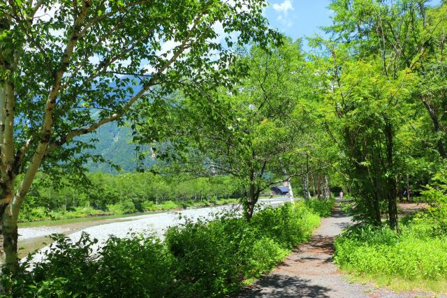 夏の上高地散歩道