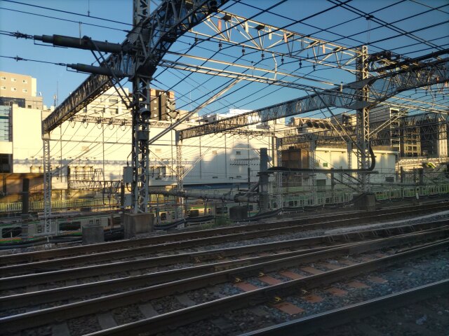 地元も、親も・・・