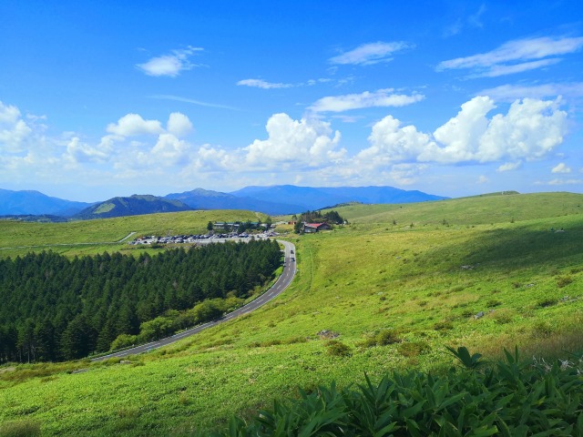 ビーナスライン