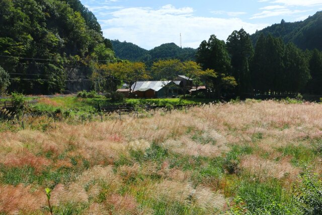 ススキの里山