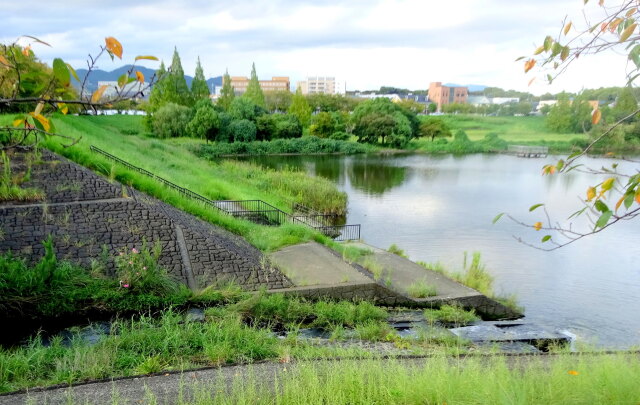 いつもの秋を待っている風景