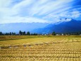 白馬村田園風景