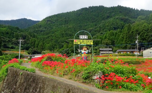 山村棚田の元気君