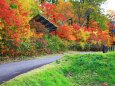秋の八幡平