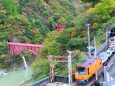 黒部峡谷トロッコ電車