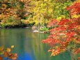 池と紅葉