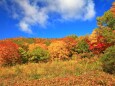 秋の八幡平