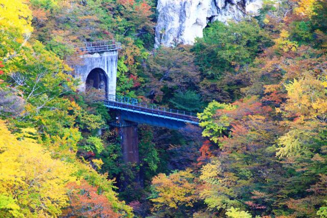 秋の鳴子峡